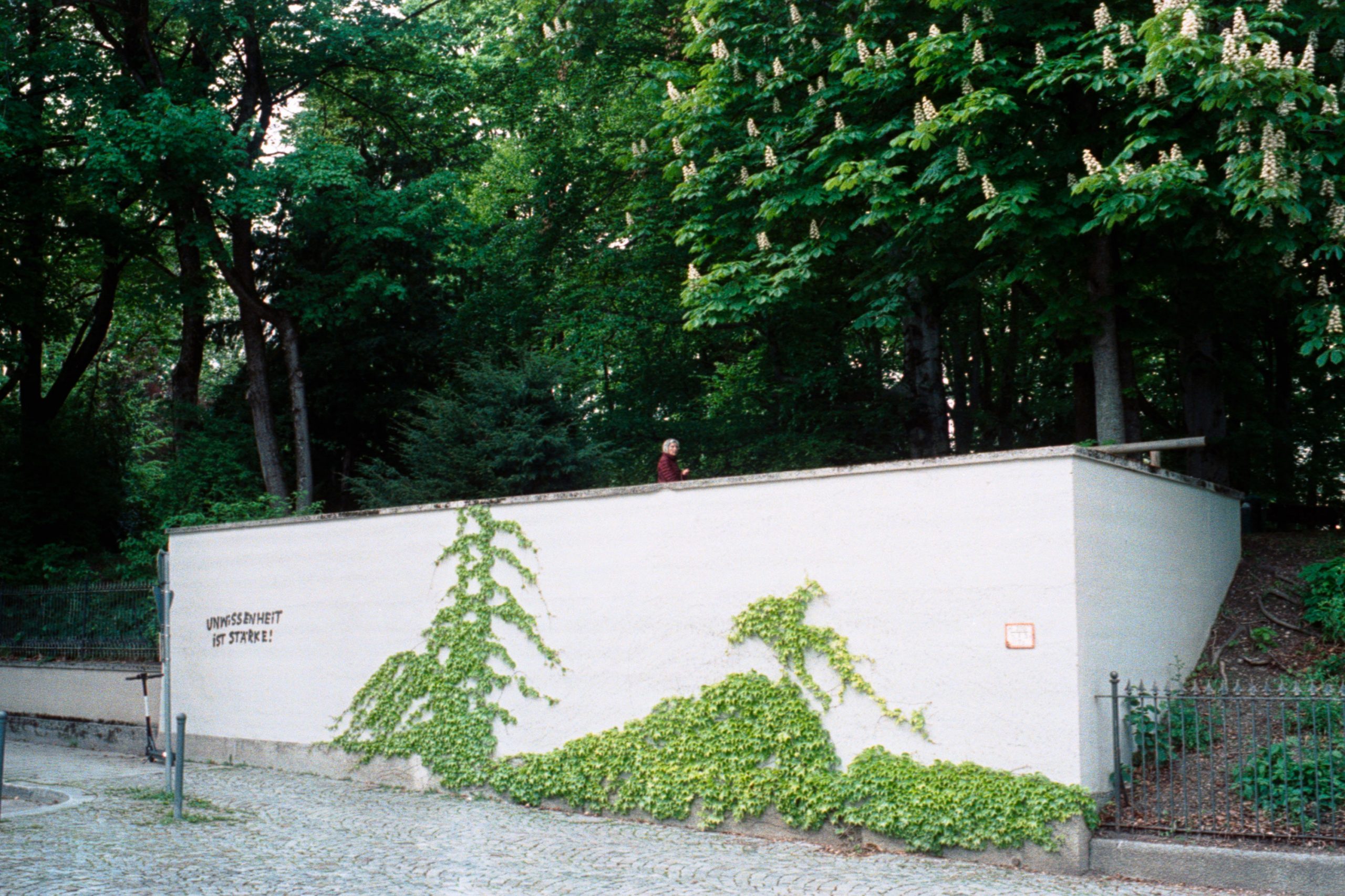 street009