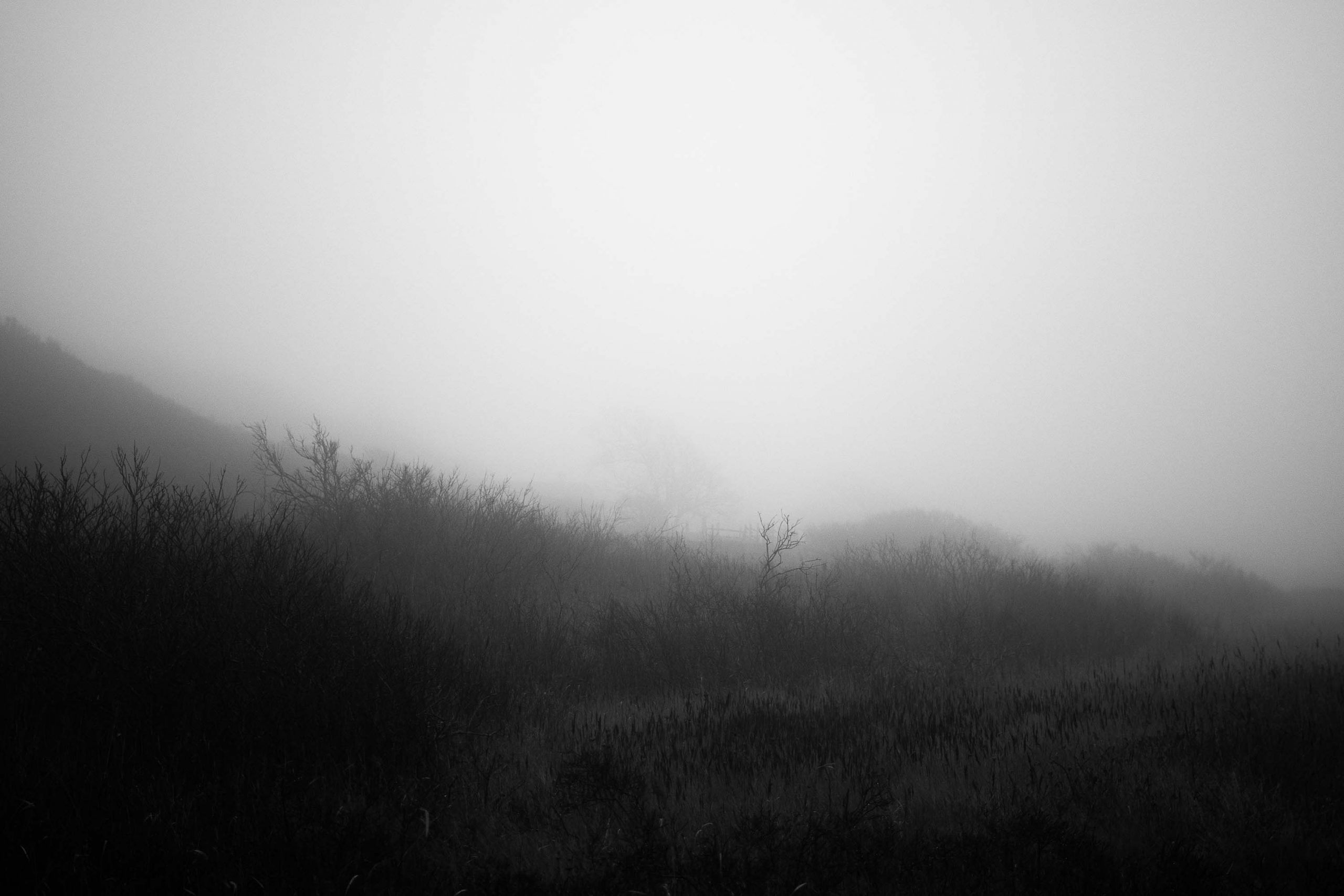 _MVB1150